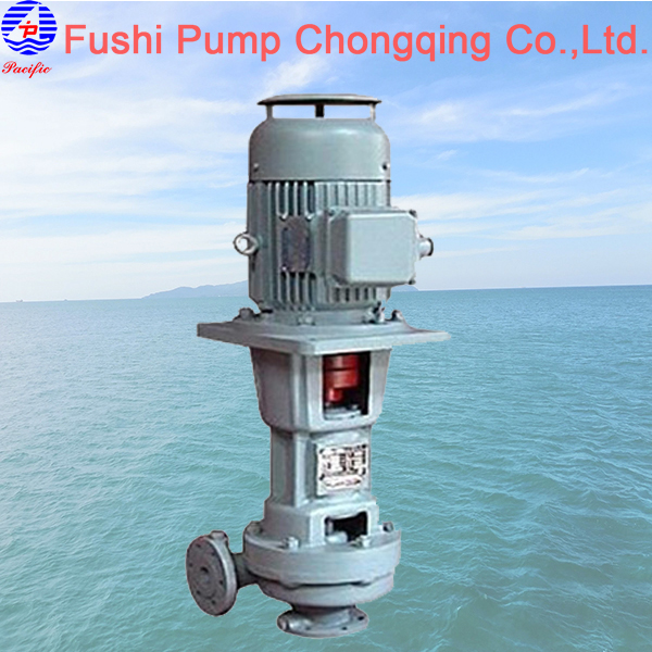 CL Marine Vertical Ballast Water Pump